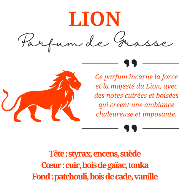 Bougie parfumée aromathérapie en cire de soja 100% naturelle - Lion, 300g