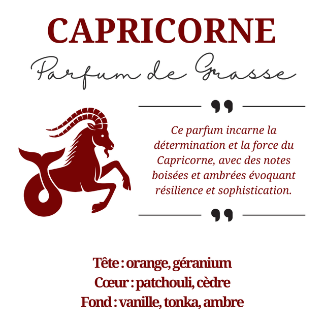 Bougie parfumée aromathérapie en cire de soja 100% naturelle - Capricorne, 300g