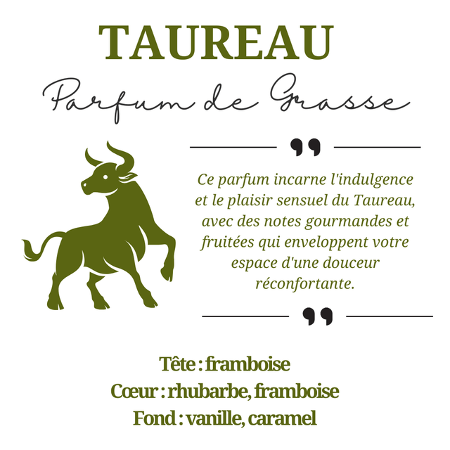 Bougie parfumée aromathérapie en cire de soja 100% naturelle - Taureau, 300g