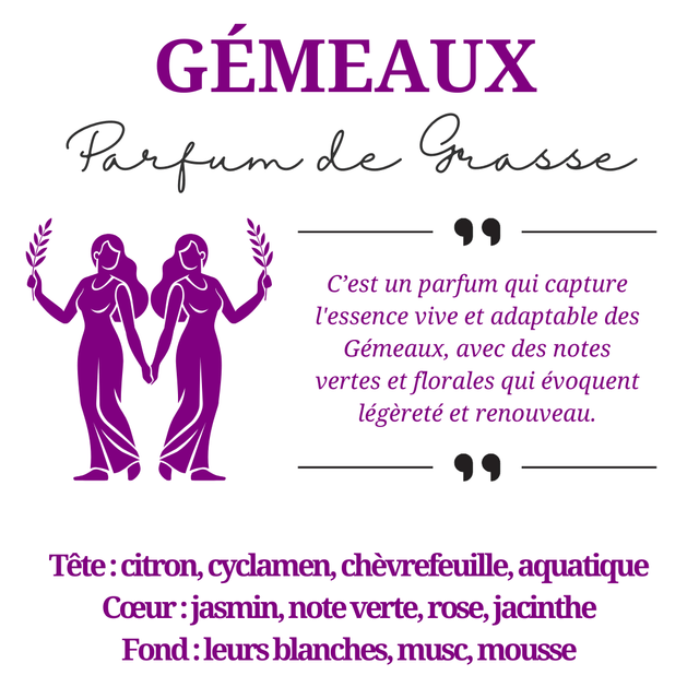 Bougie parfumée aromathérapie en cire de soja 100% naturelle - Gémeaux, 300g