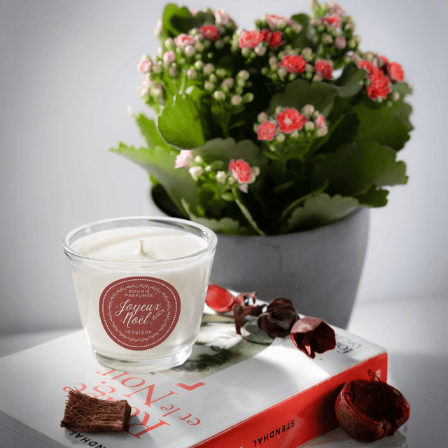 Bougie artisanale parfumée en cire de soja avec étiquette personnalisée - Cadeau pour Noël, Nouvel An, Fêtes de fin d&#039;année, 100g (JN11)